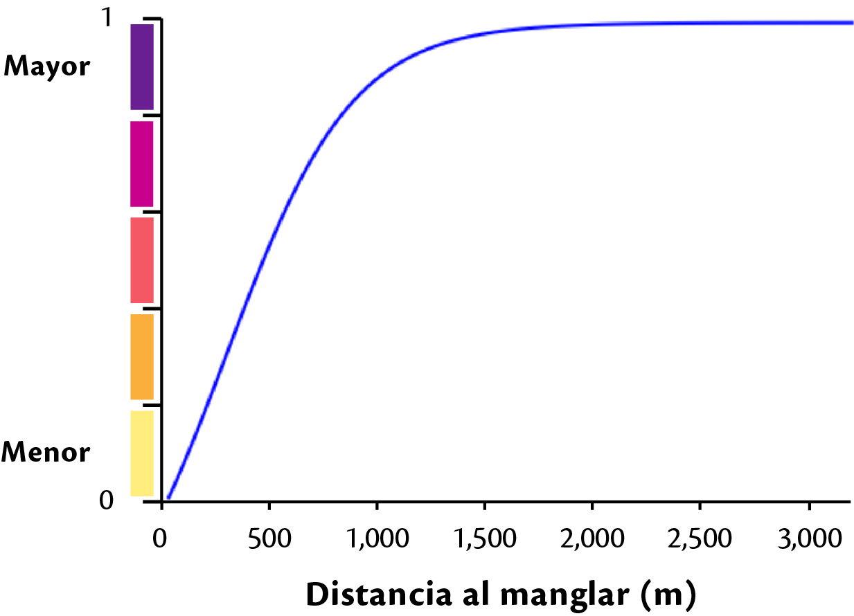 _images/fv_c_exp_manglar.png