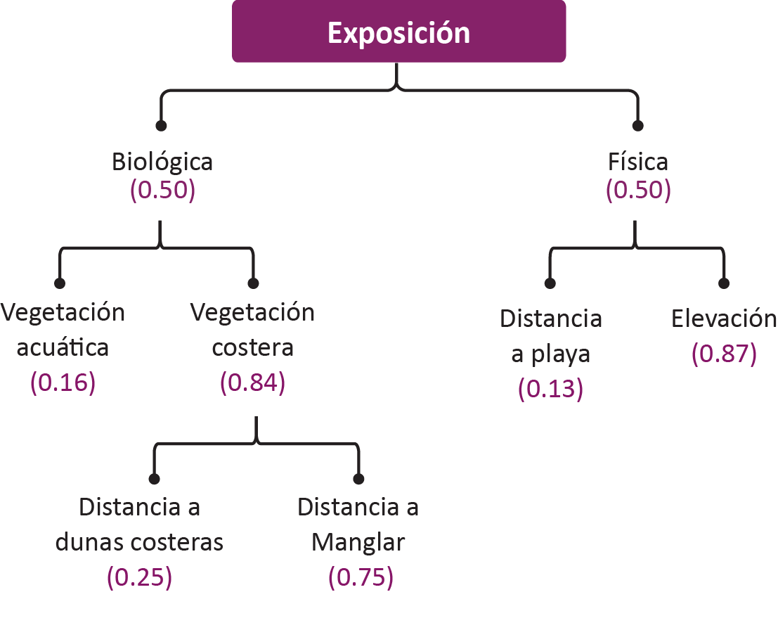 _images/vulnerabilidad_exposicion_13abr2020.png